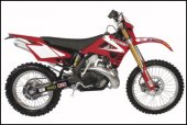 2008 GAS GAS EC 300 Racing photo